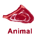 animal